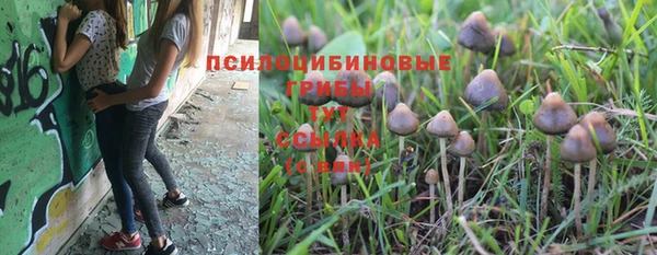 МДПВ Арсеньев