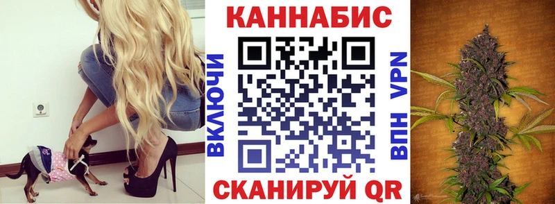 где купить наркотик  Удомля  Каннабис индика 